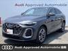 AUDI OTHER