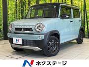 2019 SUZUKI HUSTLER