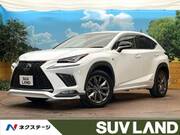 2019 LEXUS NX