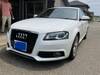 AUDI A3 SPORTBACK E-TRON