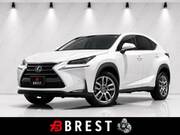 2015 LEXUS NX