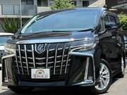 2019 TOYOTA ALPHARD