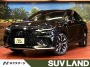 2025 LEXUS RX