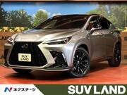 2023 LEXUS NX
