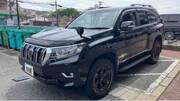 2019 TOYOTA LAND CRUISER PRADO TX