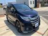 HONDA OTHER