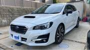 2020 SUBARU LEVORG
