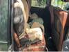 MERCEDES BENZ G-CLASS