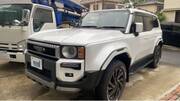 2024 TOYOTA LANDCRUISER 250