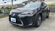 2019 LEXUS UX