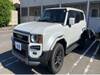 TOYOTA LANDCRUISER 250
