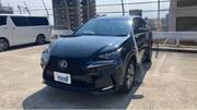 2016 LEXUS NX