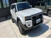 TOYOTA LANDCRUISER 250