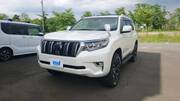 2019 TOYOTA LAND CRUISER PRADO TX