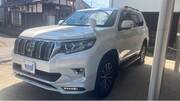 2019 TOYOTA LAND CRUISER PRADO