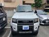 TOYOTA LANDCRUISER 250