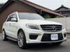 MERCEDES BENZ OTHER