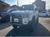 TOYOTA LANDCRUISER 250