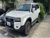 TOYOTA LANDCRUISER 250