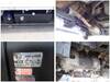 ISUZU OTHER