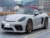 PORSCHE OTHER
