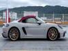 PORSCHE OTHER
