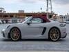 PORSCHE OTHER
