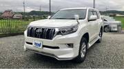 2023 TOYOTA LAND CRUISER PRADO TX
