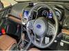 SUBARU OTHER