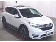 2019 HONDA OTHER