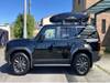 TOYOTA LANDCRUISER 250