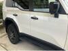 TOYOTA LANDCRUISER 250
