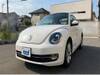VOLKSWAGEN THE BEETLE
