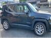 CHRYSLER JEEP RENEGADE