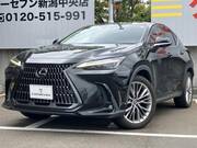 2022 LEXUS NX