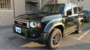 2025 TOYOTA LANDCRUISER 250