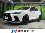 2025 LEXUS NX