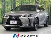 2019 LEXUS UX