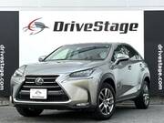 2015 LEXUS NX