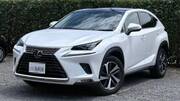 2019 LEXUS NX