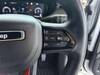 CHRYSLER JEEP COMPASS