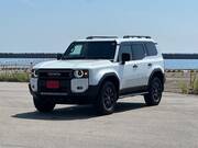2024 TOYOTA LANDCRUISER 250