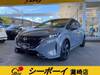 NISSAN OTHER