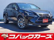 2014 LEXUS NX