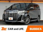 2019 TOYOTA ALPHARD