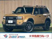 2024 TOYOTA LANDCRUISER 250