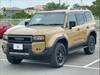 TOYOTA LANDCRUISER 250