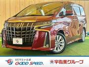 2019 TOYOTA ALPHARD