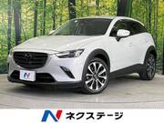 2019 MAZDA CX-3