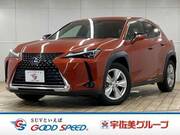 2019 LEXUS UX